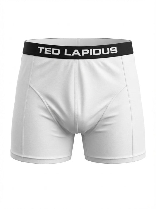 Boxer Homme TED LAPIDUS – Lot de 3 (Coton Stretch)